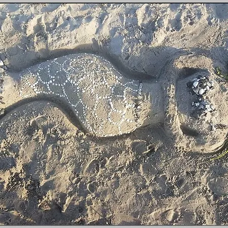 Ddr Wohnwagen Qek Direkt Am Kemping Dranske